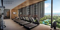 Tembusu Grand (D15), Condominium #549737371